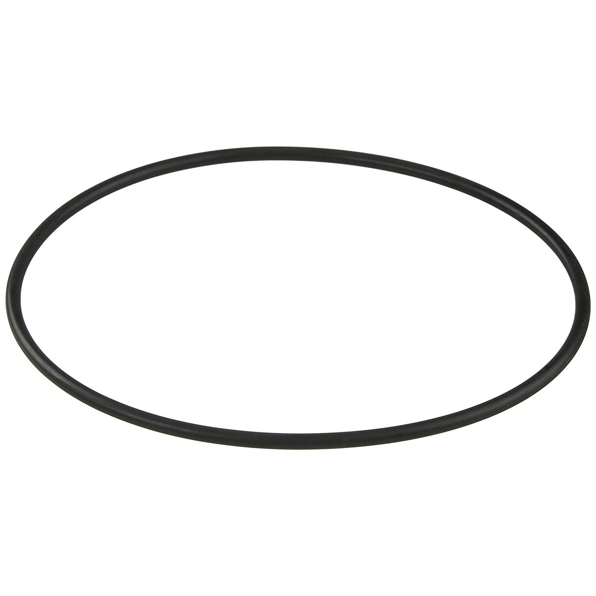 Уплотнительное кольцо корпуса насоса Aquaviva ZWEWTB