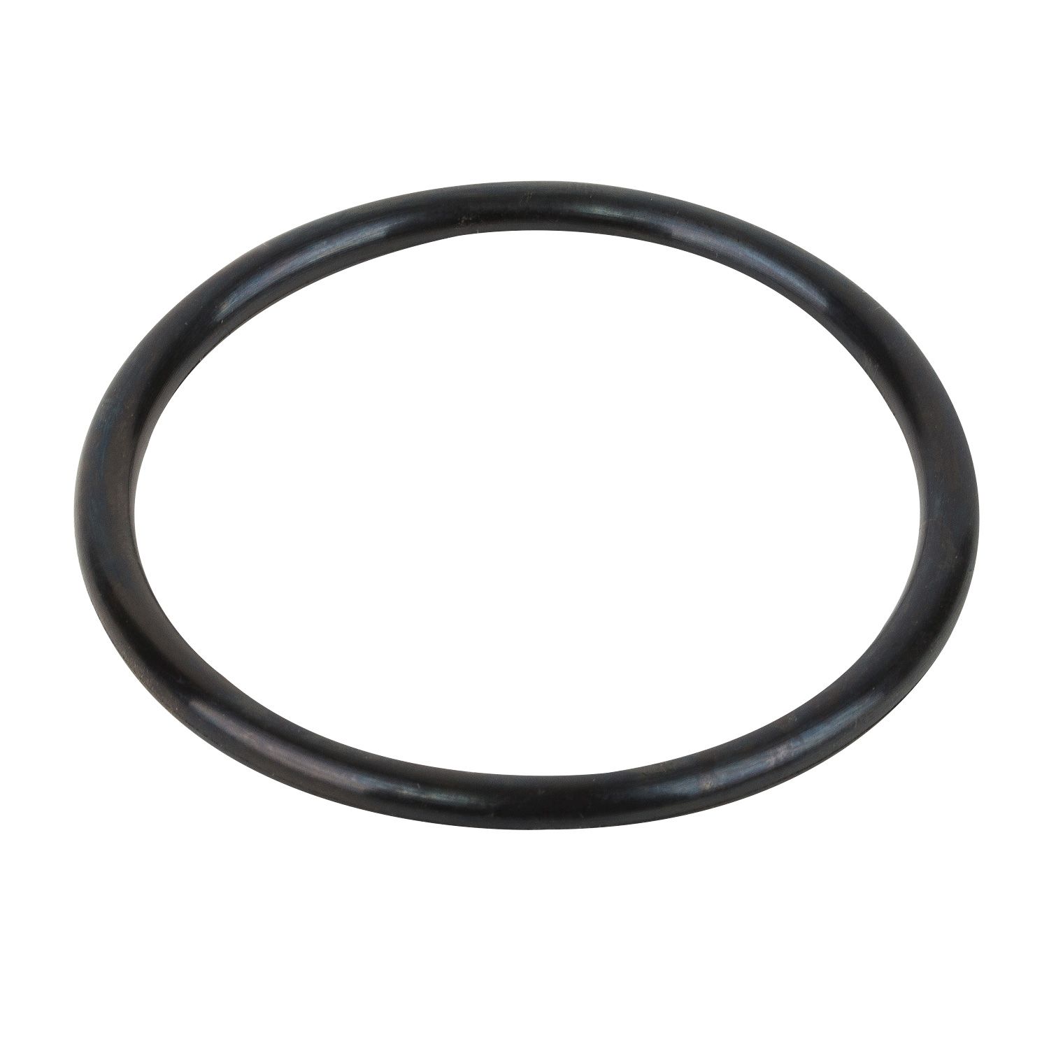 Прокладка-кольцо фланца бочки фильтра Granada RGR030.ARRFI0003.00R